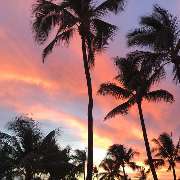 Meet your Posher, Robin - Picture 1 of 1